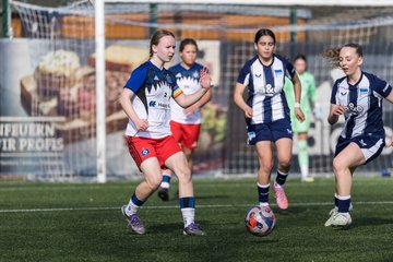Bild 145 - wBJ Hamburger SV - Hertha BSC : Ergebnis: 2:1